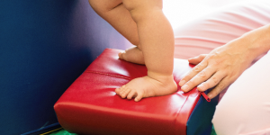 Memòria d’Activitat 2023